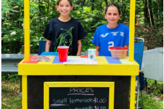 Lemonade stand - built by Doug Shuster
